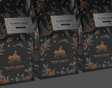 The Boy & The Bear Roastery Coffee – Premium Fresh Roast (350 Gram)